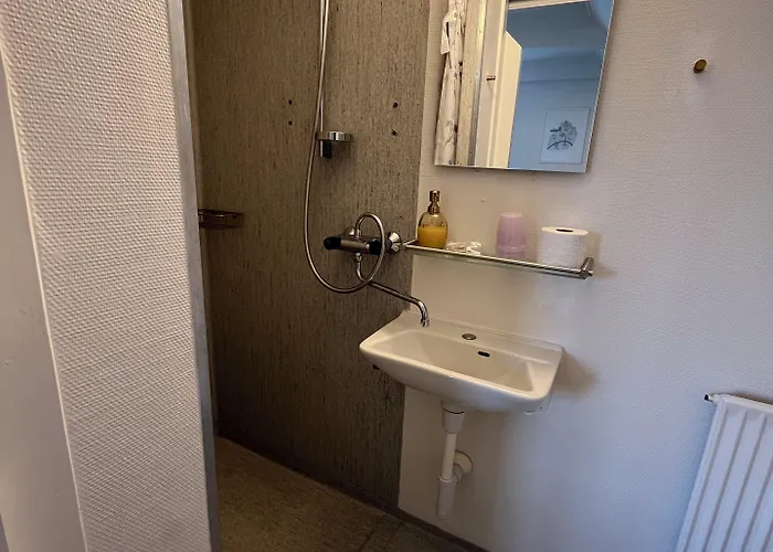 布勒德布罗登加姆勒克罗酒店 酒店 *